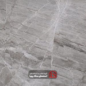 Veiny gray marble